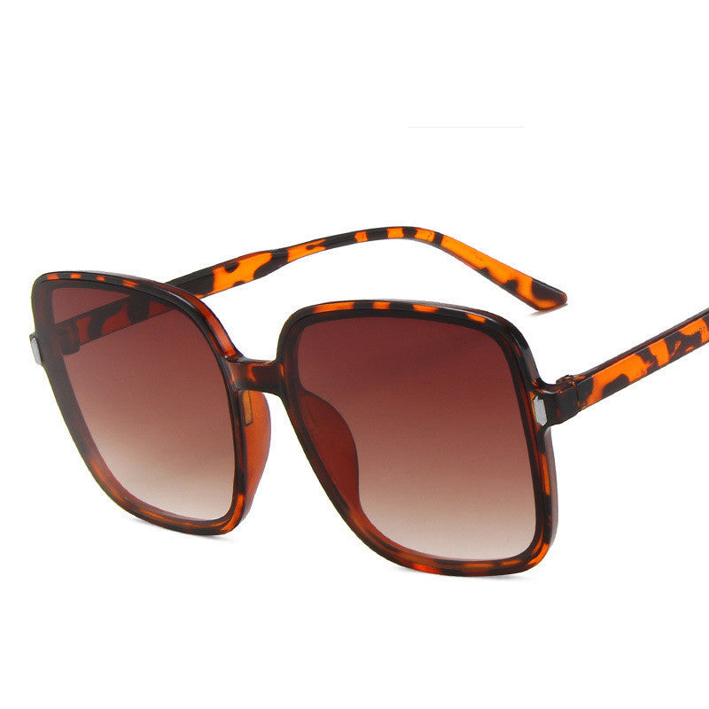 Civetta Summer Sunshade Glasses - Civetta Couture